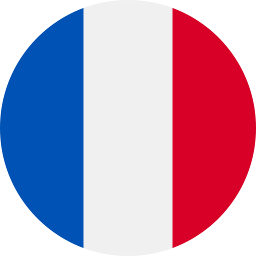 guia fala francès em paris
